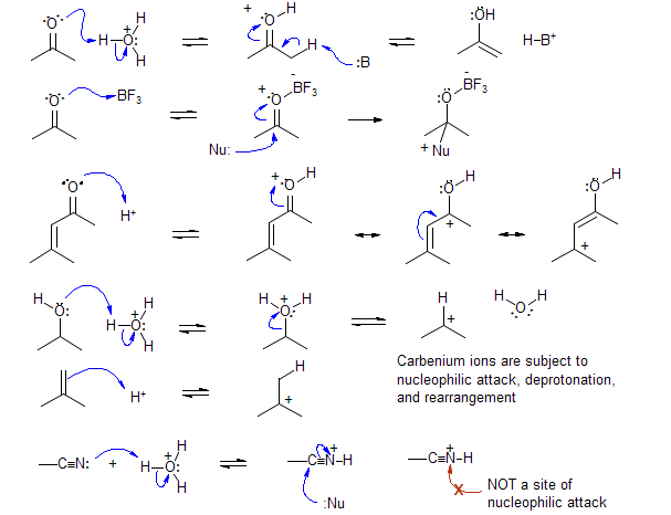 a scheme of common Bronsted and Lewis acids catalyze reactions