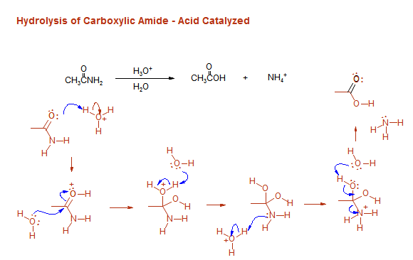 Hydrolysis of Carboxylic Amide - Acid Catalyzed