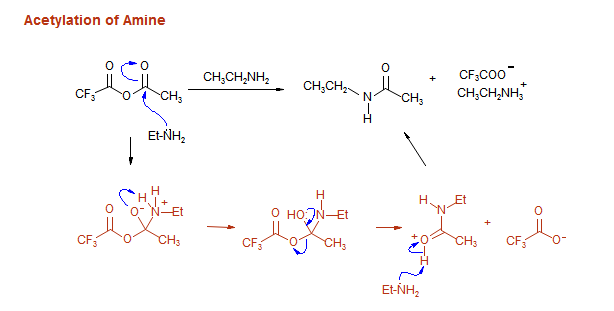 Acetylation of Amine