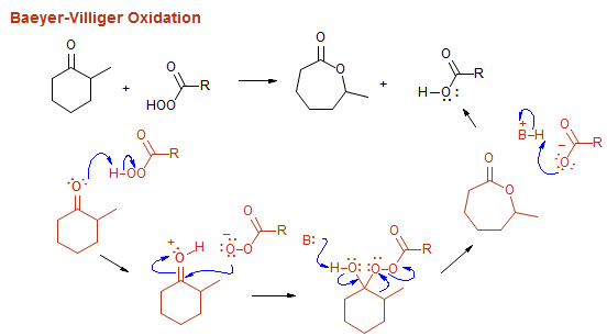 Baeyer-Villiger Oxidation
