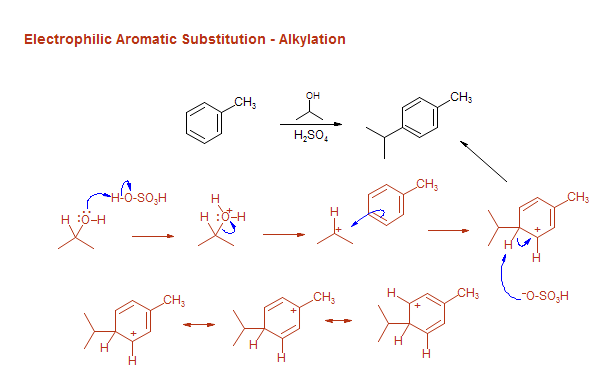 Electrophilic Aromatic Substitution - Alkylation