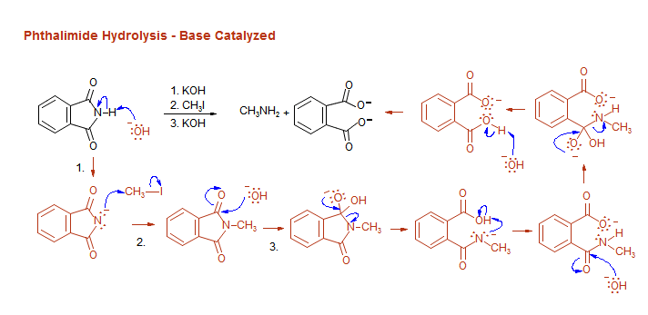 Phthalimide Hydrolysis - Base Catalyzed