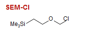 SEM-Cl