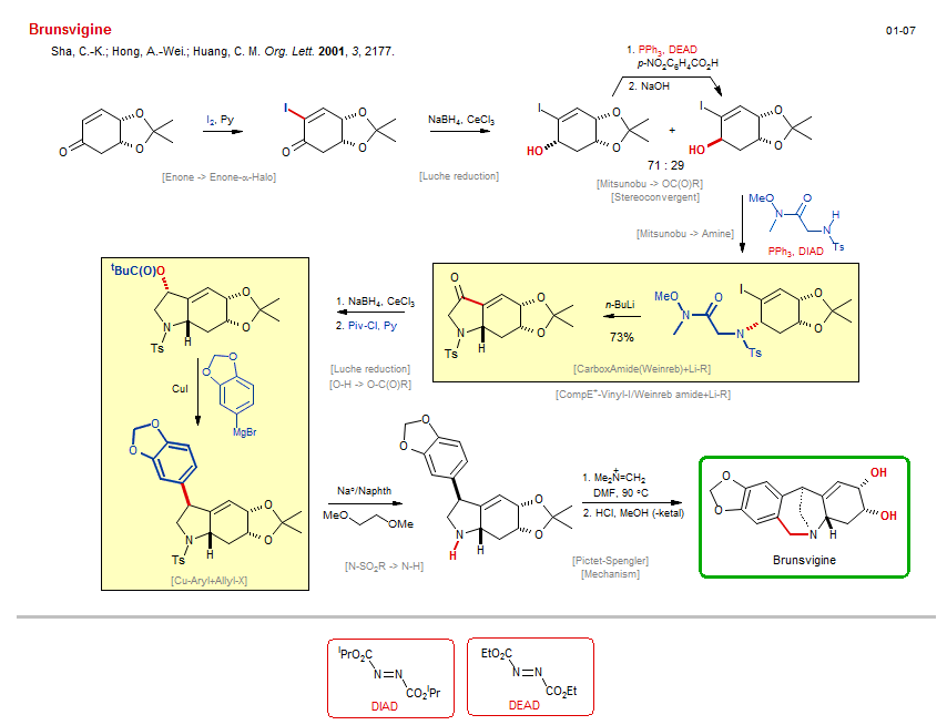 Reaction scheme for total synthesis of the natural product Brunsvigine