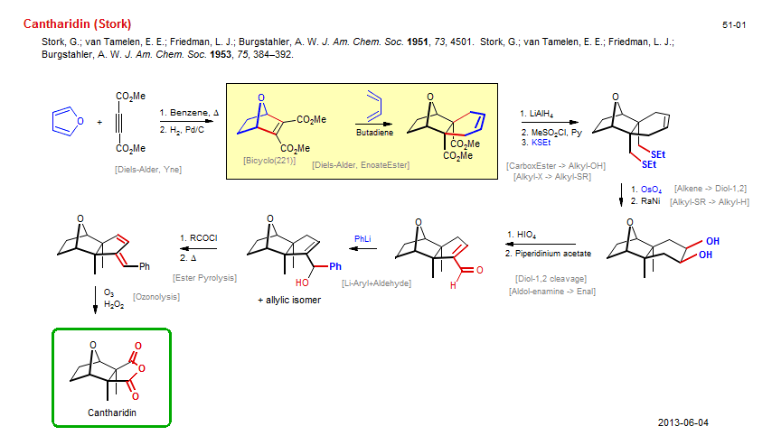 Reaction scheme for total synthesis of the natural product Cantharidin (Stork)
