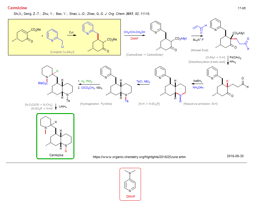 Reaction scheme for total synthesis of the natural product Cermizine