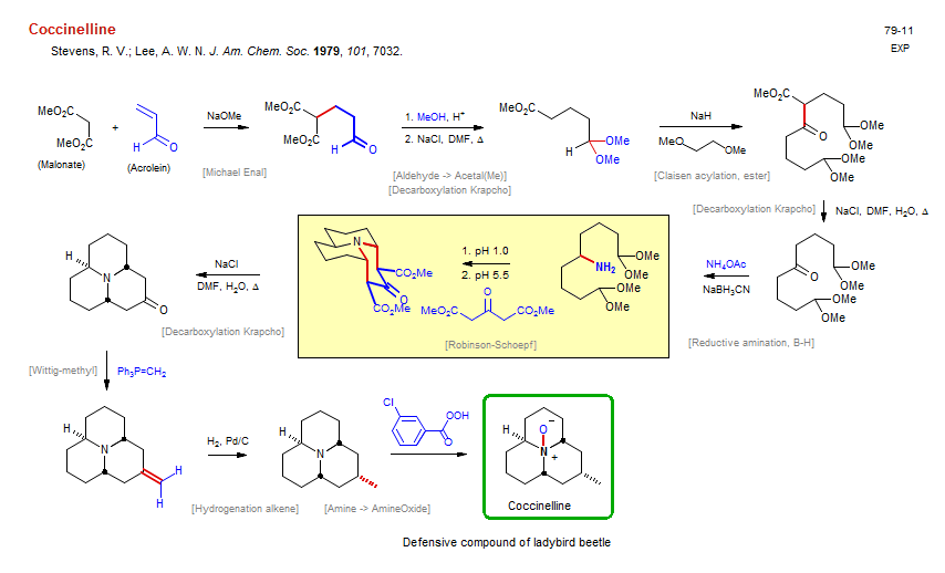 Reaction scheme for total synthesis of the natural product Coccinelline