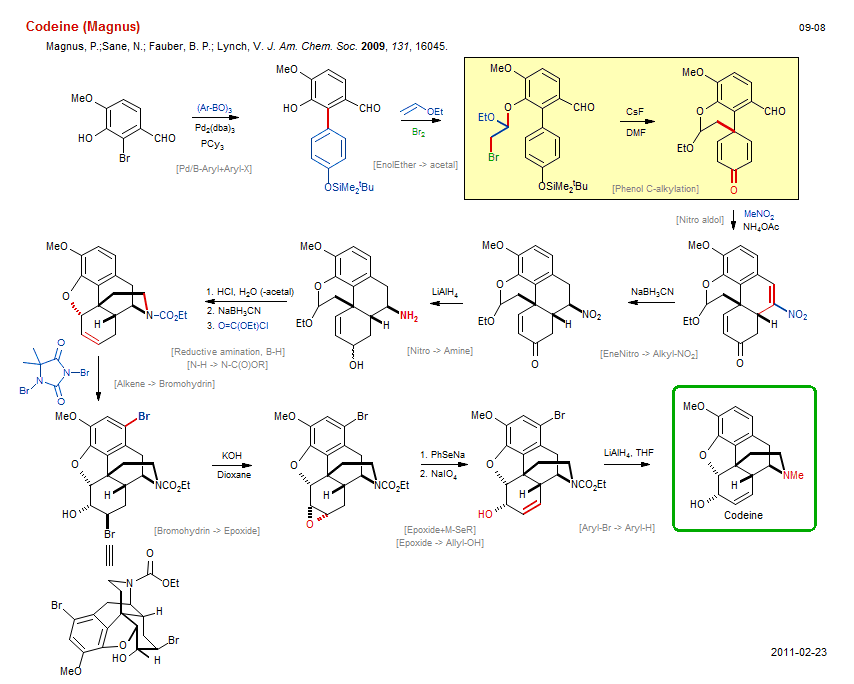 Reaction scheme for total synthesis of the natural product Codeine (Magnus)