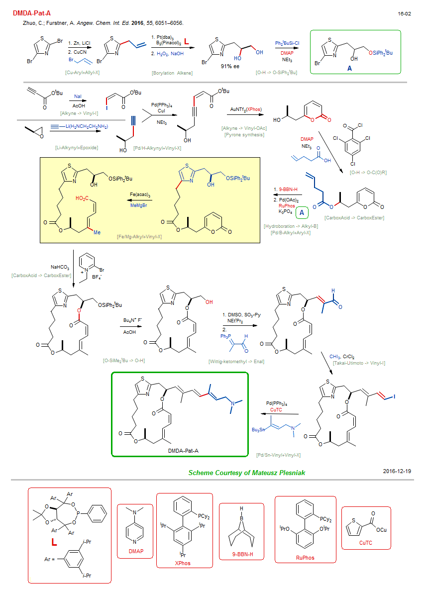 Reaction scheme for total synthesis of the natural product DMDA-Pat-A