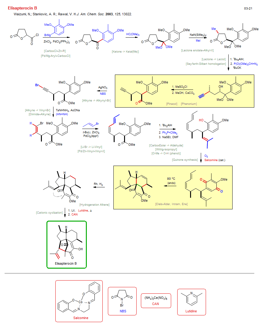 Reaction scheme for total synthesis of the natural product Elisapterocin B