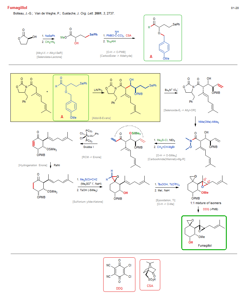 Reaction scheme for total synthesis of the natural product Fumagillol