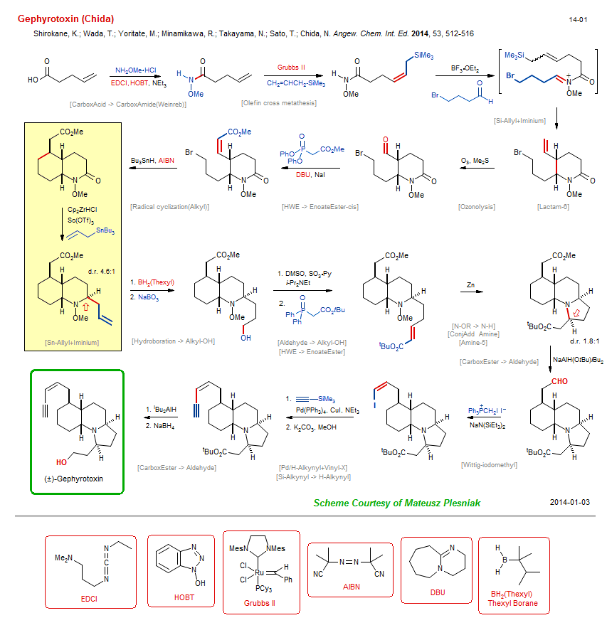Reaction scheme for total synthesis of the natural product Gephyrotoxin (Chida)