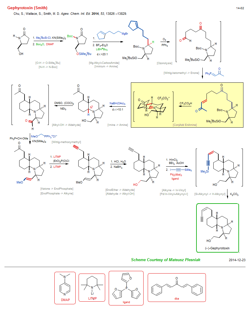 Reaction scheme for total synthesis of the natural product Gephyrotoxin (Smith)