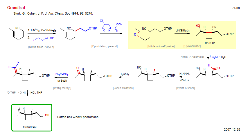 Reaction scheme for total synthesis of the natural product Grandisol