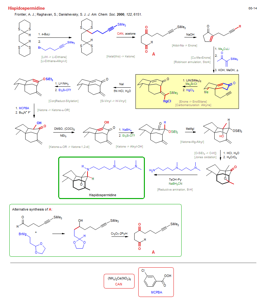 Reaction scheme for total synthesis of the natural product Hispidospermidine