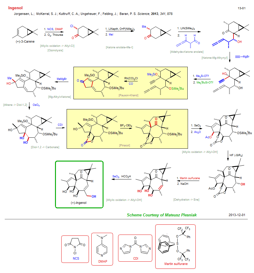 Reaction scheme for total synthesis of the natural product Ingenol