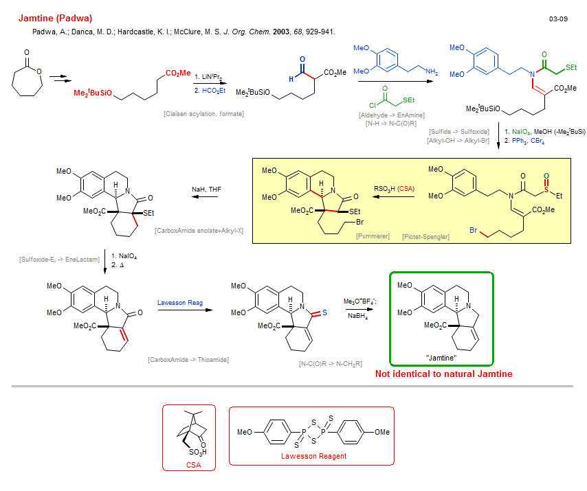 Reaction scheme for total synthesis of the natural product Jamtine (Padwa)