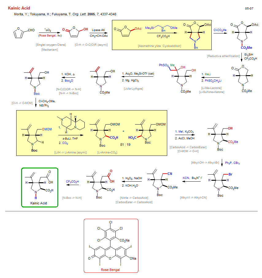 Reaction scheme for total synthesis of the natural product Kainic Acid