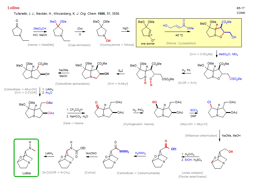 Reaction scheme for total synthesis of the natural product Loline