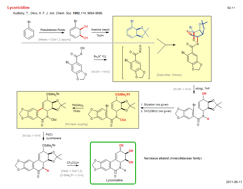Reaction scheme for total synthesis of the natural product Lycoricidine