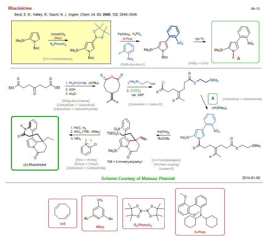 Reaction scheme for total synthesis of the natural product Rhazinicine