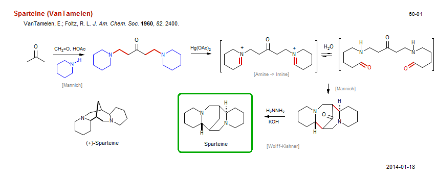 Reaction scheme for total synthesis of the natural product Sparteine (VanTamelen)