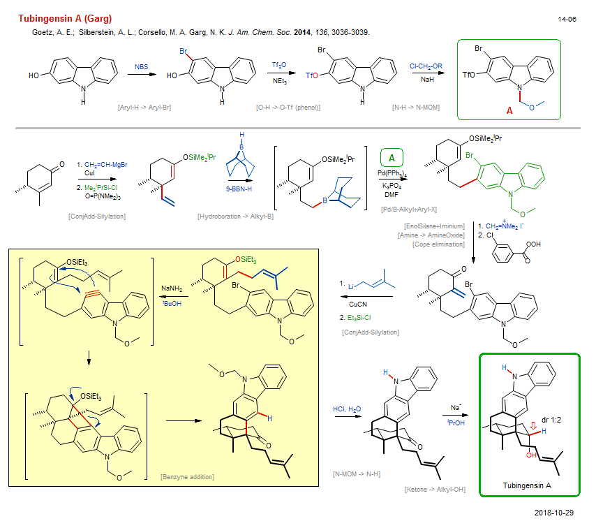 Reaction scheme for total synthesis of the natural product Tubingensin A (Garg)
