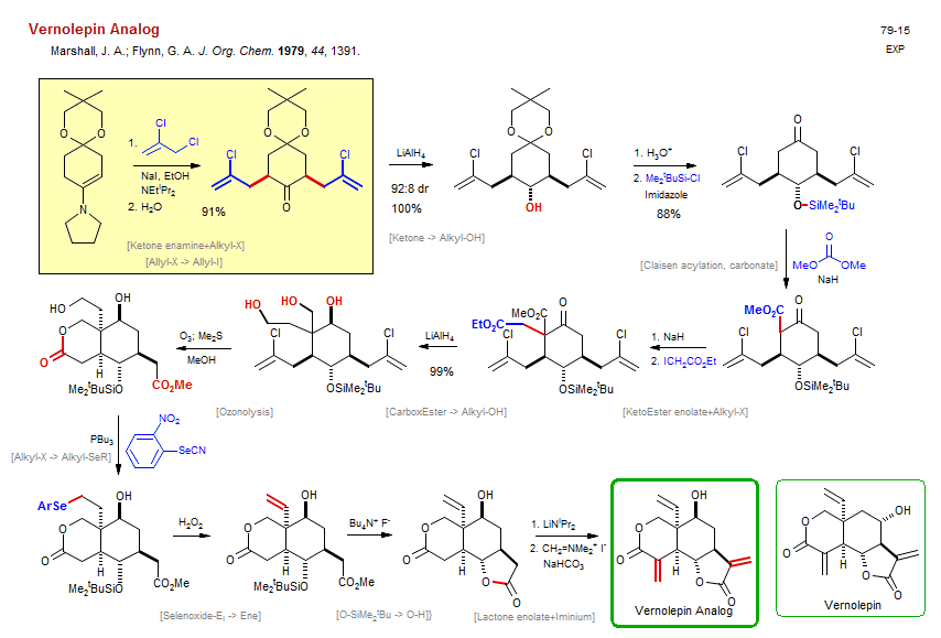 Reaction scheme for total synthesis of the natural product Vernolepin Analog