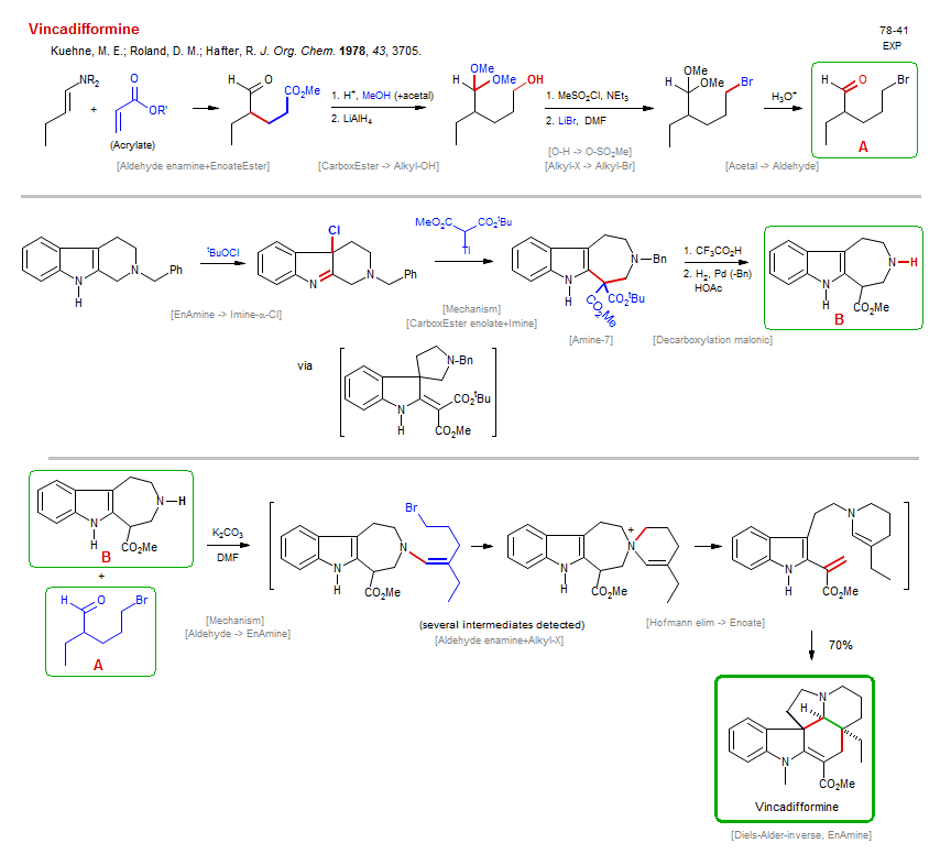 Reaction scheme for total synthesis of the natural product Vincadifformine