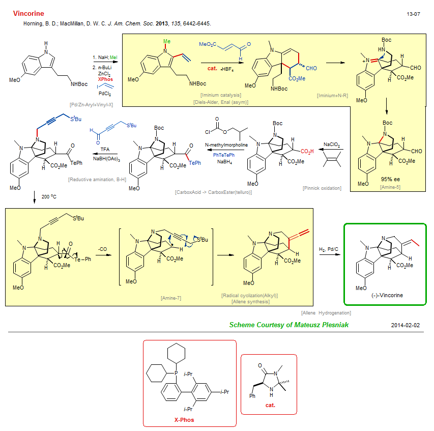 Reaction scheme for total synthesis of the natural product Vincorine